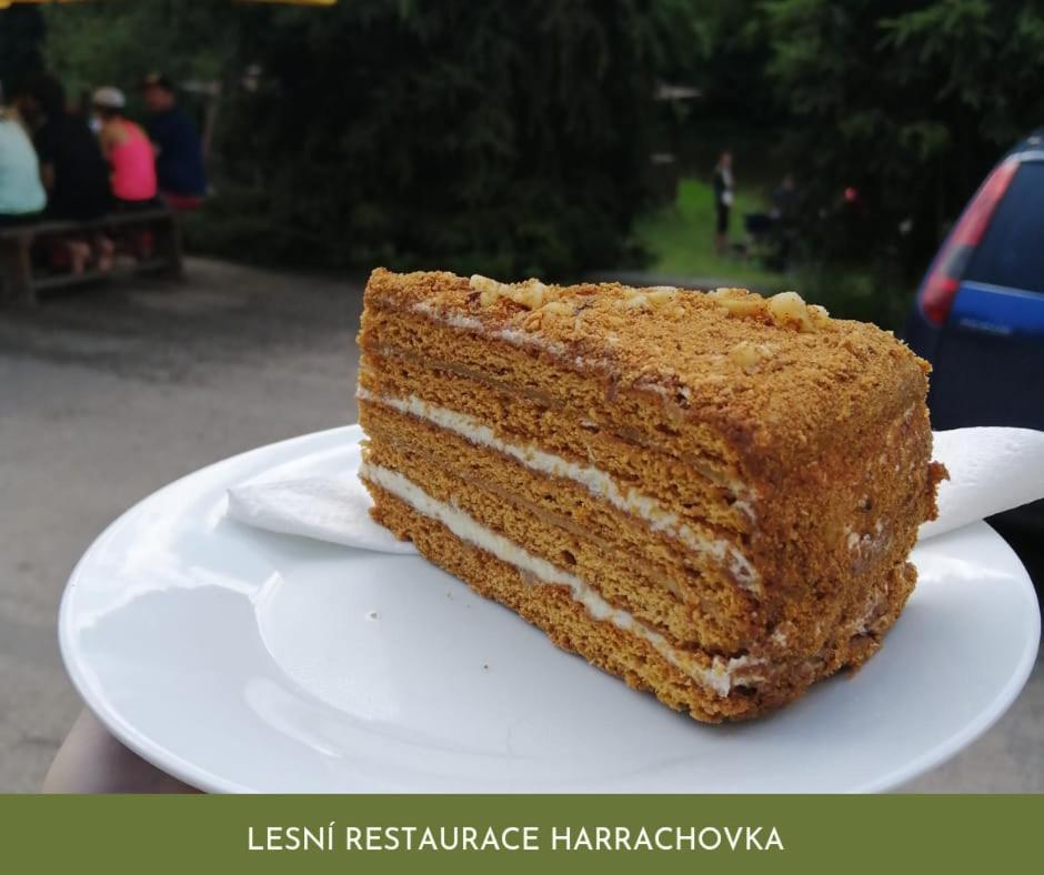 Hotel Lesní Restaurace Harrachovka Tábor Exteriér fotografie