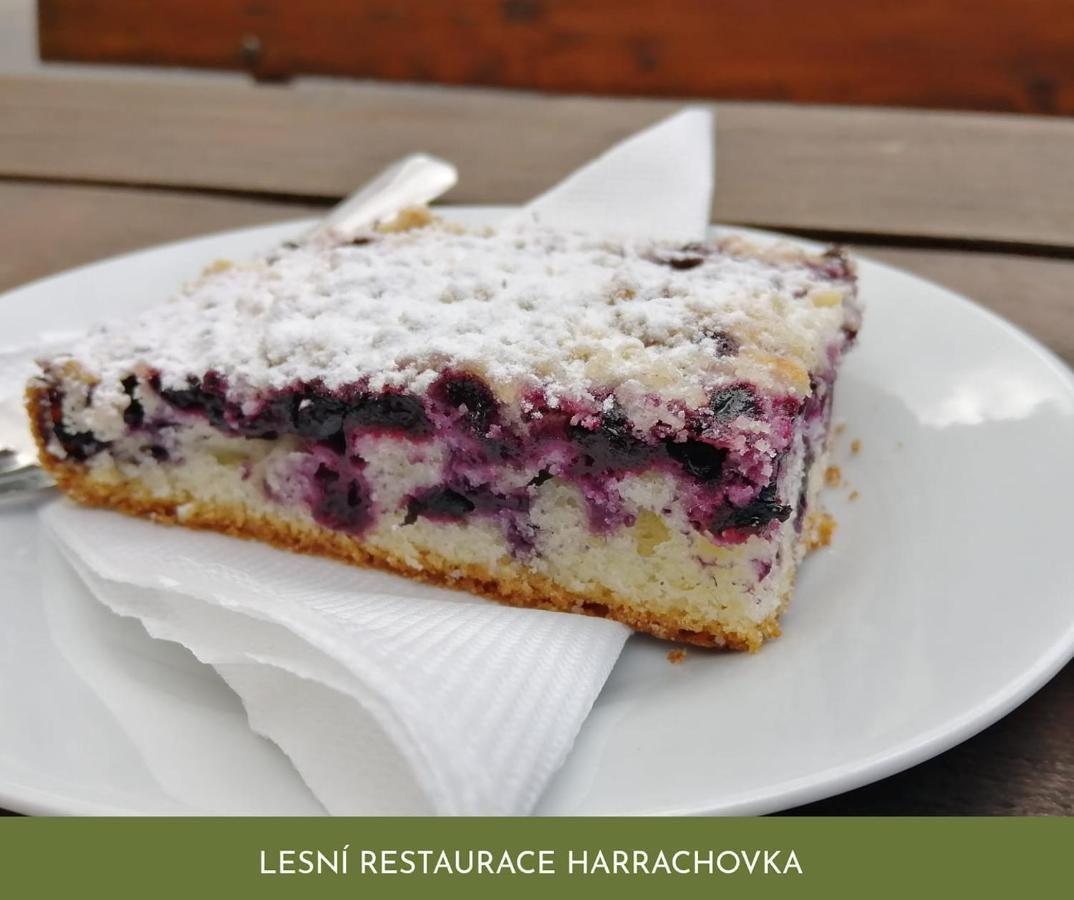 Hotel Lesní Restaurace Harrachovka Tábor Exteriér fotografie